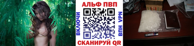 Купить  Михайлов  Alpha PVP крисы CK 