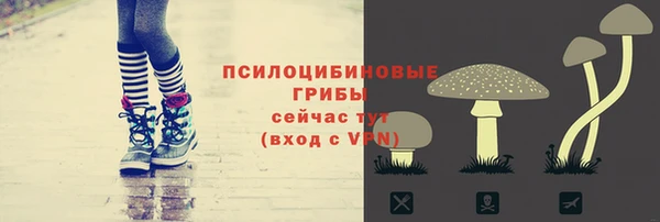 соль ск Аркадак